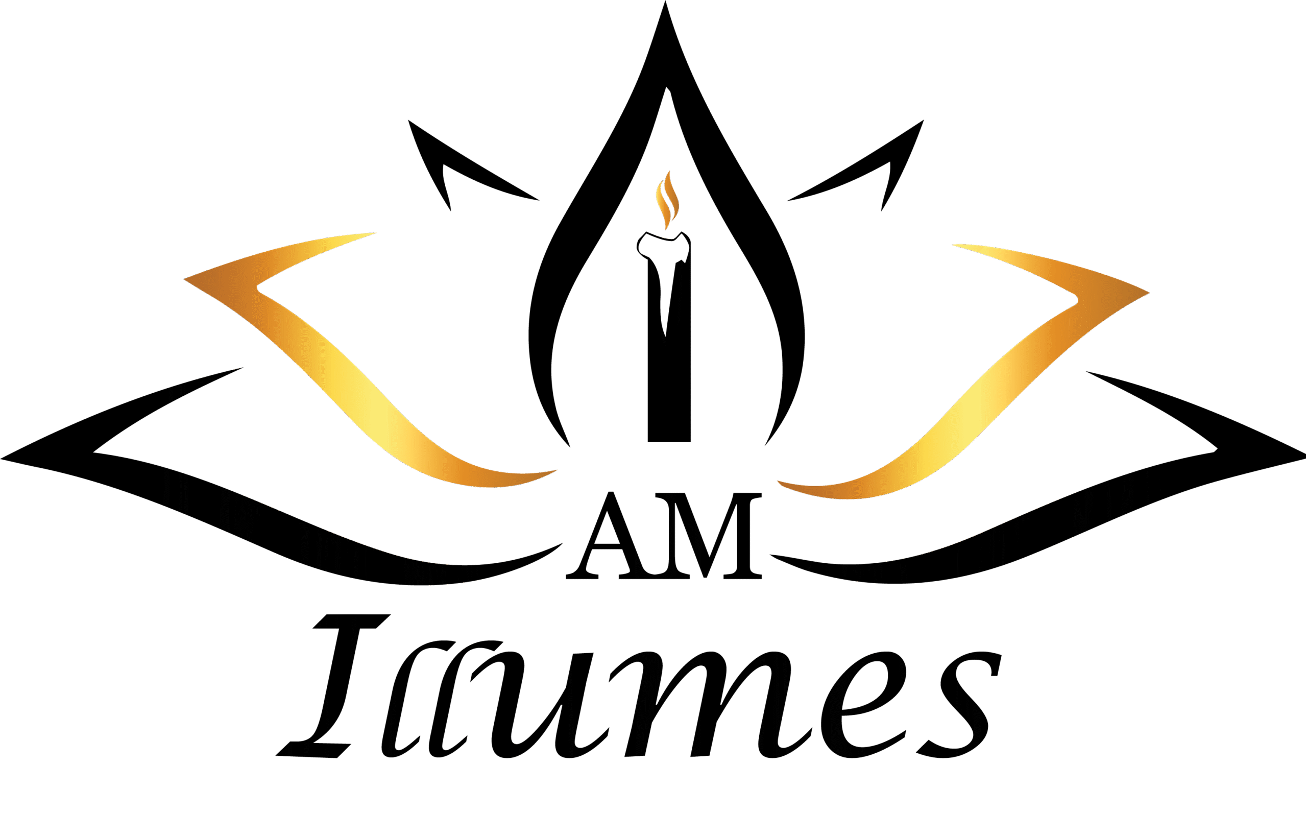 cropped illuminus black web logo.png
